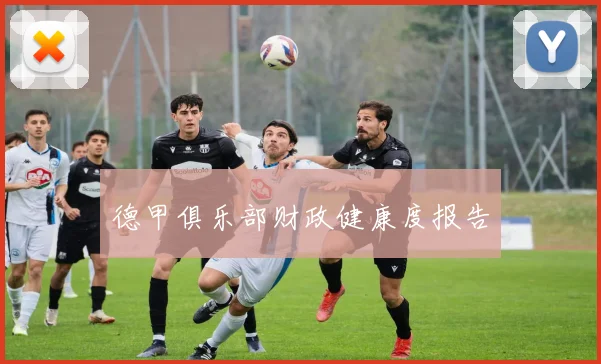 德甲俱乐部财政健康度报告