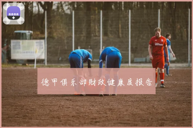 德甲俱乐部财政健康度报告